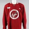 Practice Jersey - Arizona Coyotes - Maroon Adidas Size 58
